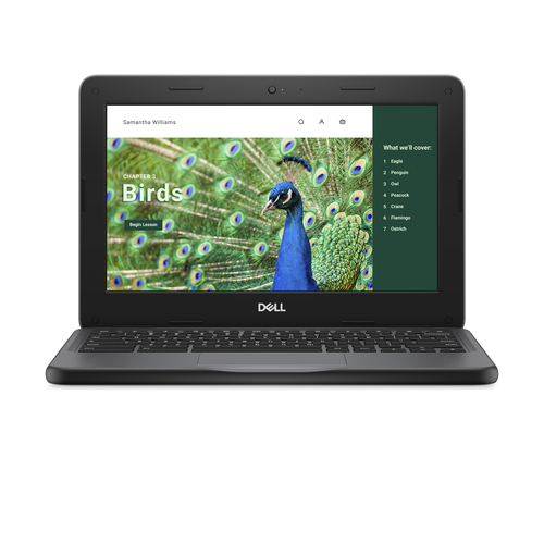 DELL Chromebook 3120