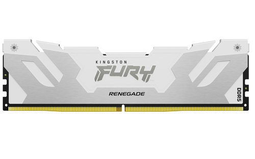Kingston Technology 24GB 8000MT/s DDR5 CL38 DIMM FURY Renegade White