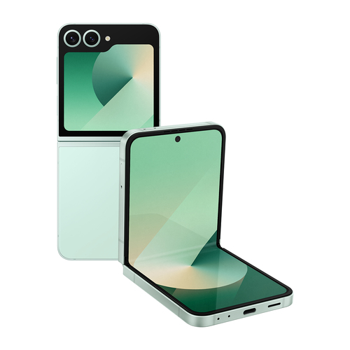 Samsung Galaxy SM-F741BLGGTUR