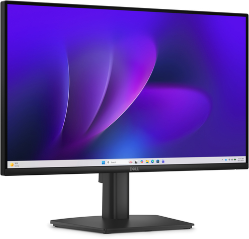 DELL Pro E2226H