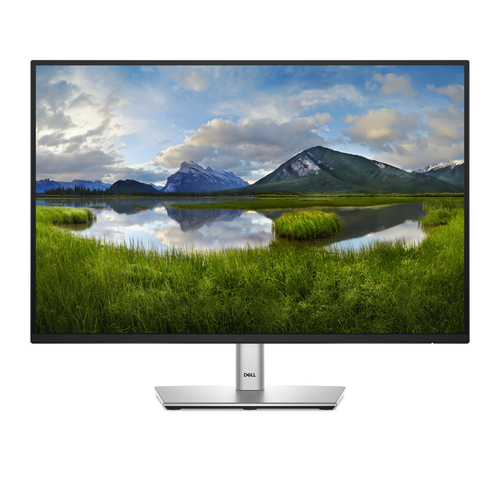 DELL Pro Plus P2425