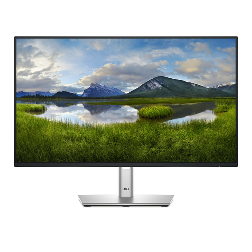 DELL Pro Plus P2425H