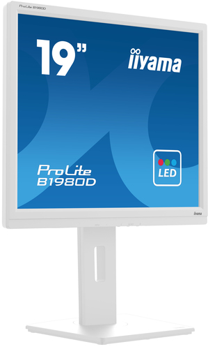 iiyama ProLite B1980D-W5