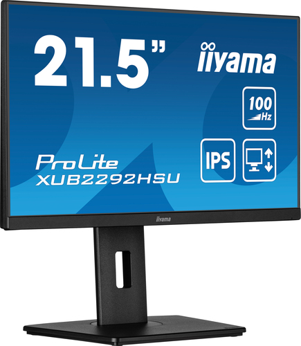 iiyama ProLite XUB2292HSU-B6