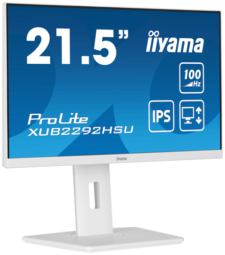 iiyama ProLite XUB2292HSU-W6