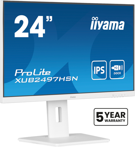 iiyama ProLite XUB2497HSN-W1