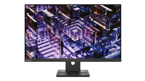 Lenovo ThinkVision E24q-30