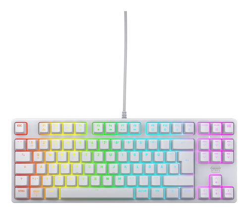 CHERRY K4V2 TKL