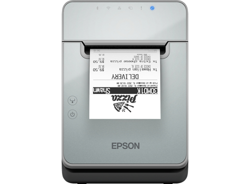 Epson C31CJ52103