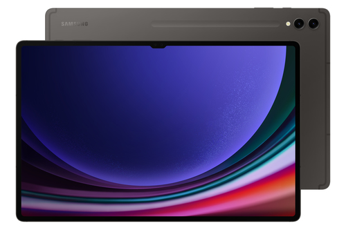 Samsung Galaxy Tab S9 Ultra SM-X910NZAETUR
